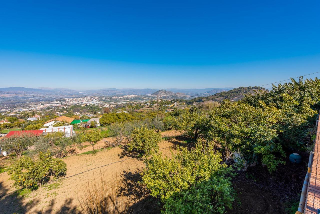 Los Algarrobos - Mountain And Relax Near The Beach - Malaga — Photos 2