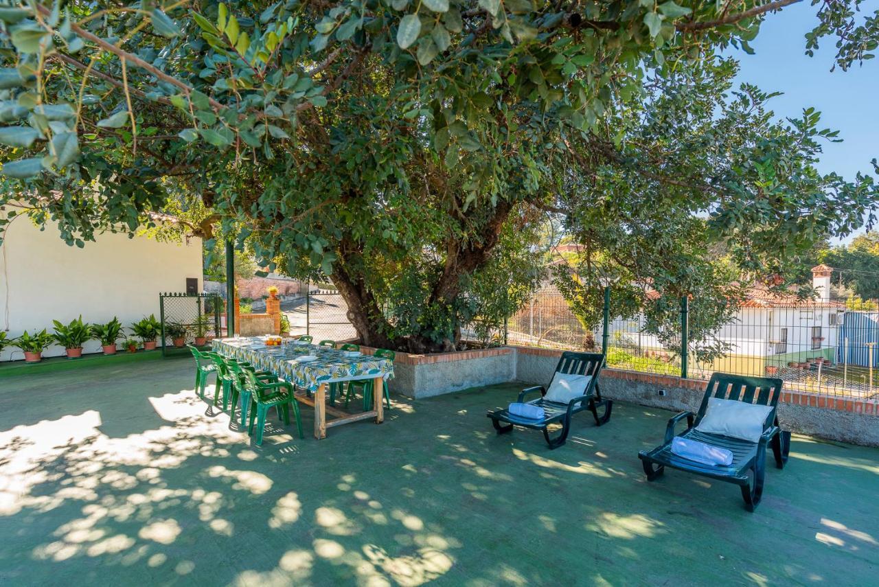 Los Algarrobos - Mountain And Relax Near The Beach - Malaga — Photos 3